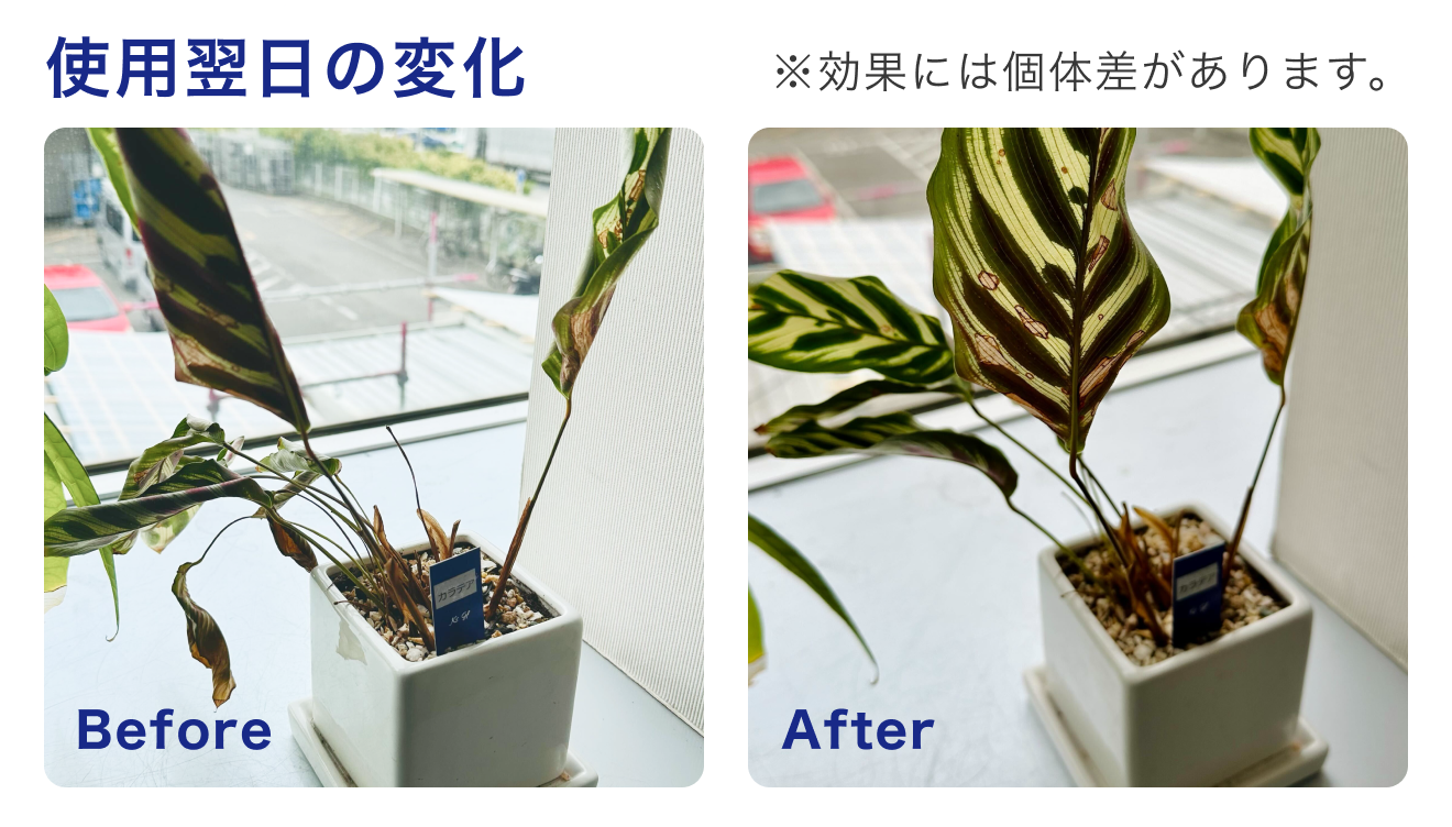 Before After Image